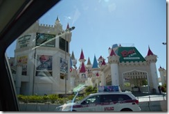 IMG_2013_08_12_0759 (500x333)