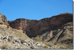 IMG_2013_08_15_1312 (500x333)