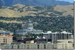 IMG_2013_08_16_1360 (500x334)