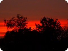 P1070373 (500x375) (500x375)