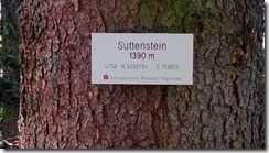 WP_20130803_002 (500x281)