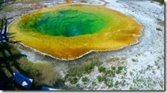 morning pool (500x275)