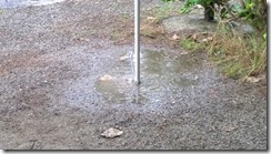 WP_20140823_13_44_10_Pro (500x281)