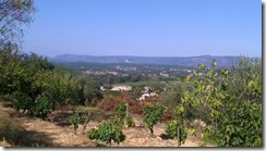 WP_20140903_16_38_00_Pro (640x360)