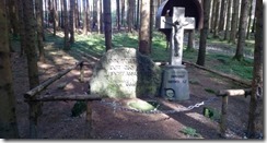 WP_20141007_11_50_00_Pro (640x339)