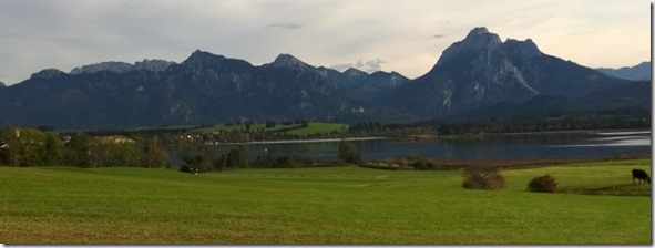 WP_20141007_16_00_32_Pro (640x240)