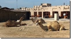 WP_20150108_13_41_40_Pro (640x345)