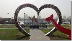 WP_20150109_13_55_00_Pro (640x360)