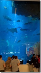 WP_20150111_12_16_53_Pro (360x640)