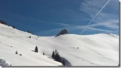 WP_20150308_11_04_16_Pro (640x360)