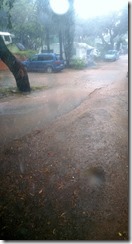 WP_20150824_001 (426x800)