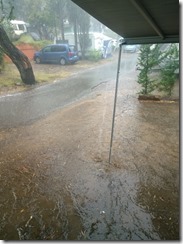 WP_20150824_17_41_04_Pro (598x800)