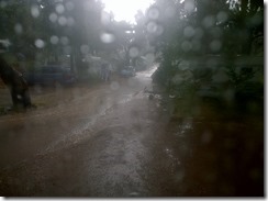 WP_20150824_17_52_58_Pro (800x598)