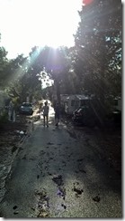 WP_20150824_18_10_31_Pro (450x800)