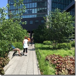 IMG_1556 (1024x1024)