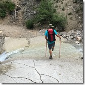 IMG_2065 (1024x1024)