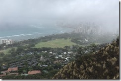 20190504_190251177_iOS