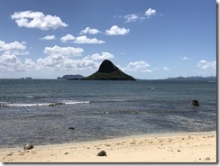 20190505_201209030_iOS