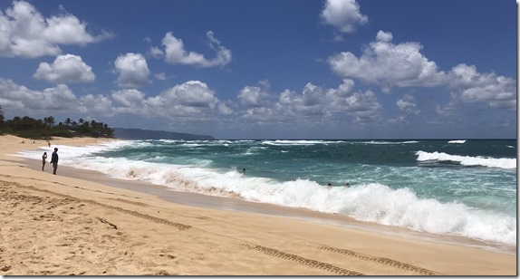 20190505_222612326_iOS