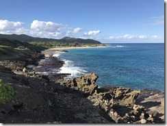 20190506_025453781_iOS